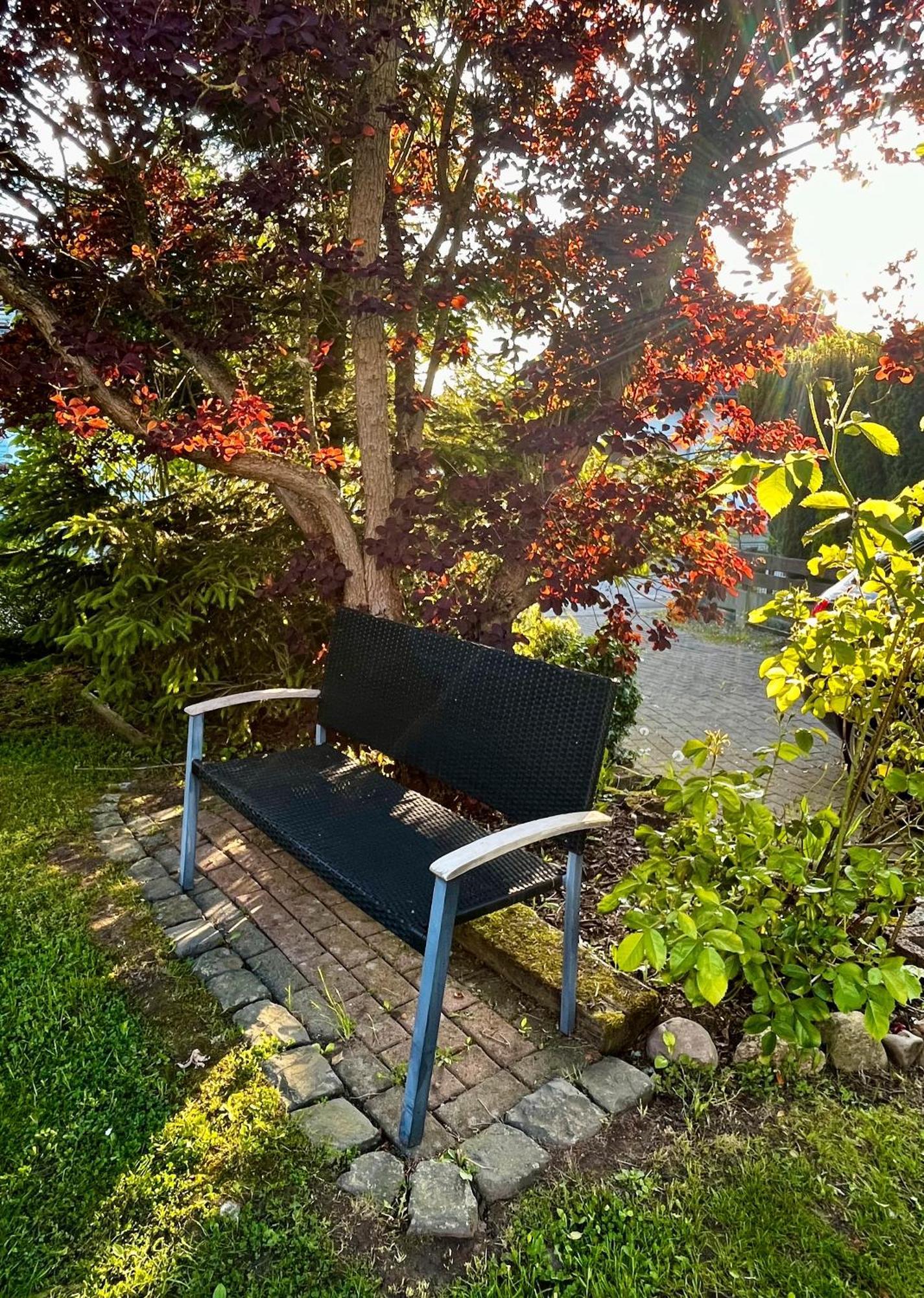 Ferienwohnung Ferienhaus Windmuehlenweg Mit Garten Spenge Exterior foto